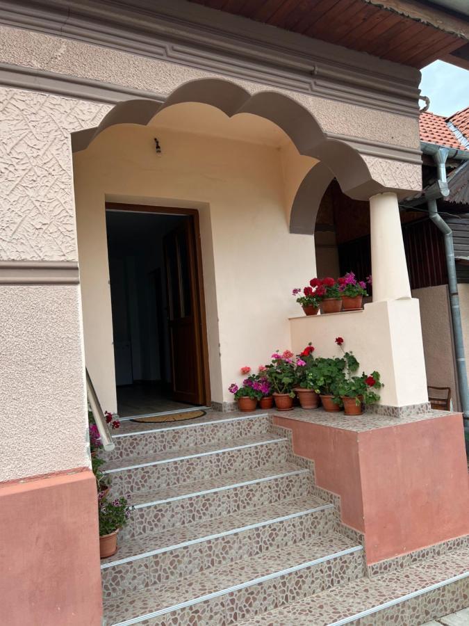 Casa Andrei Villa Cartisoara Exterior photo