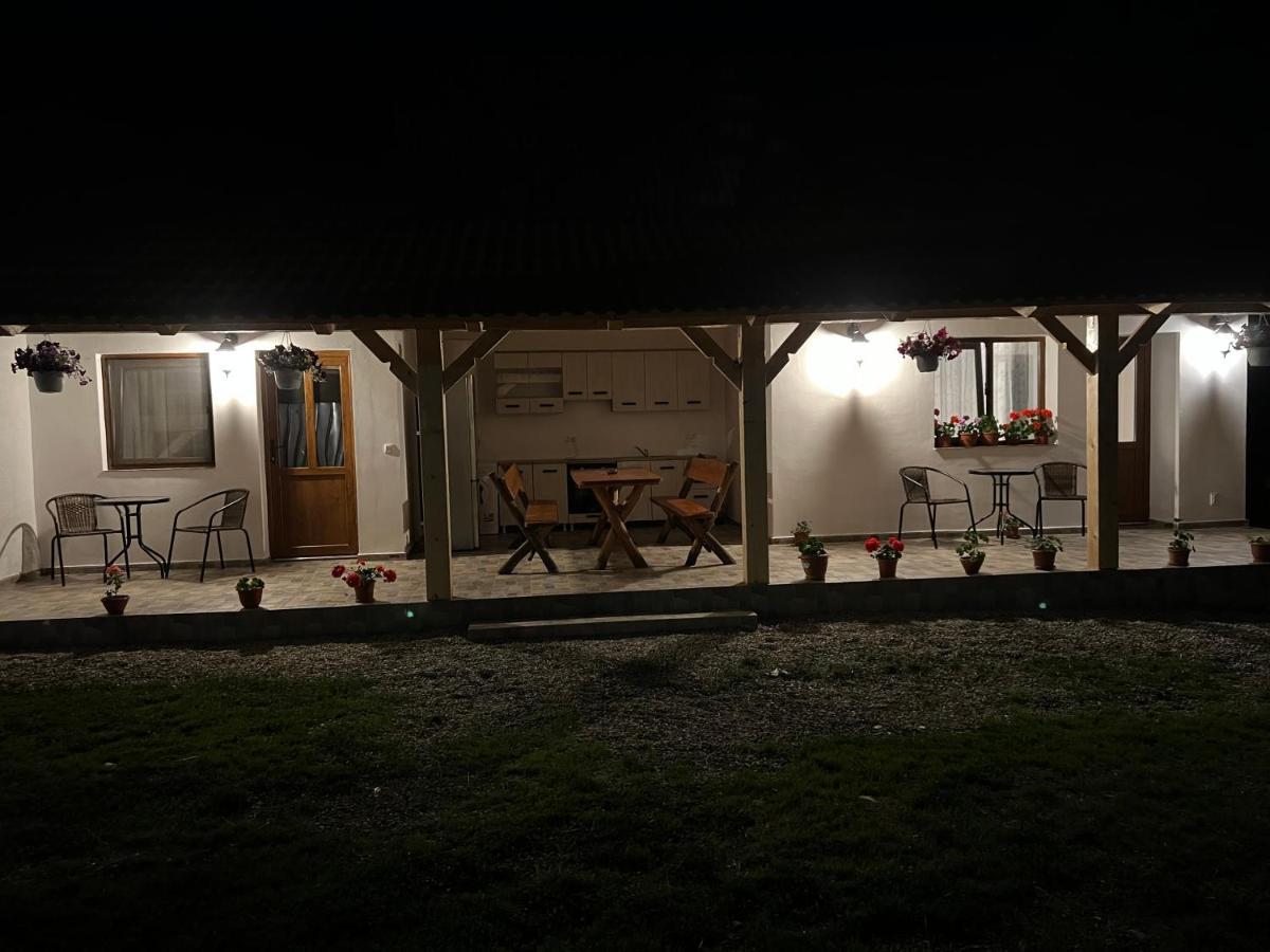 Casa Andrei Villa Cartisoara Exterior photo