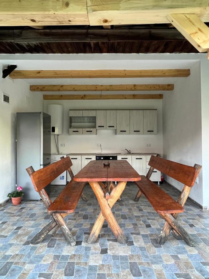 Casa Andrei Villa Cartisoara Exterior photo