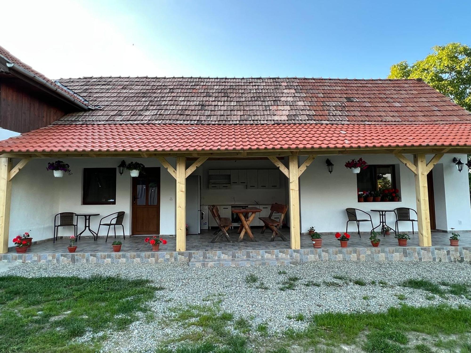 Casa Andrei Villa Cartisoara Exterior photo